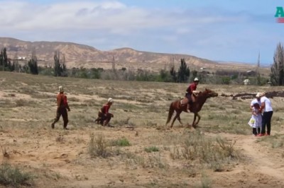 Wielki orzeł  błyskawicznie atakuje małe dziecko! Nagranie z pokazów mrozi krew w żyłach!