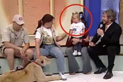 Lew i dziecko występują razem w studiu! Wtedy dzieje się coś co nie miało prawa się zdarzyć!