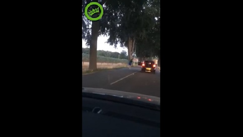 Nagranie jak Polak rozbił auto na drzewie, bo wyskoczył z auta, żeby nagrać śmieszny film!