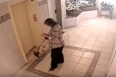 Porażająca bezmyślność właścicielki psa! Weszła do windy bez psa który był na smyczy!