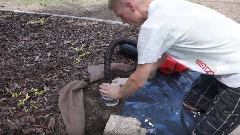 Jak szybko pozbyć się kretów z ogródka?! Dzięki tej prostej metodzie zadbasz o swoje grządki! 