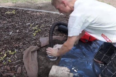 Jak szybko pozbyć się kretów z ogródka?! Dzięki tej prostej metodzie zadbasz o swoje grządki! 
