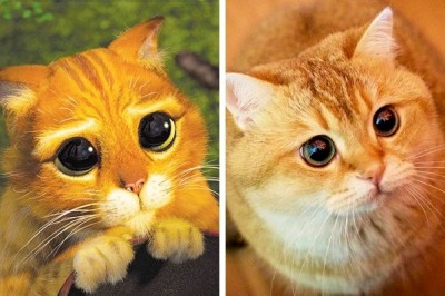 Te zwierzaki wyglądają jak bohaterowie ulubionych bajek! Ciężko uwierzyć w te podobieństwo! 