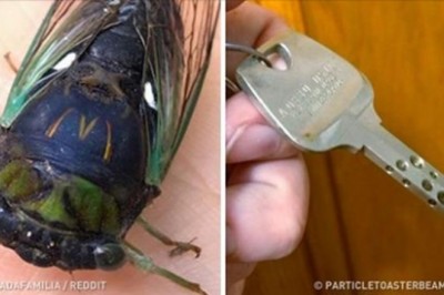 20 osób które doświadczyły czegoś, co trudno wytłumaczyć. Czasem sama natura mówi Ci, że musisz coś zjeść 