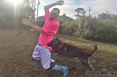 Policyjny pies K-9 ruszył w pościg za uciekinierem. Typ nie miał z nim żadnych szans