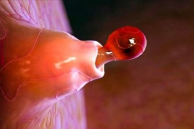 Jak ludzkie organy i części ciała wyglądają pod mikroskopem? Ciężko uwierzyć, że tak jesteśmy zbudowani 