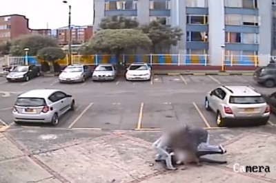 Wściekły pitbull rzuca się na husky'ego. To był dosłownie moment