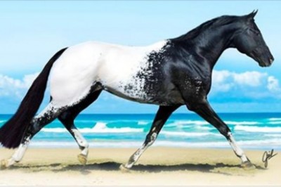 14 zwierząt tak rzadkich, że aż trudno uwierzyć w ich istnienie. Prawdziwe cuda natury 