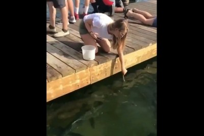 Blondynka kontra wygłodniałe rekiny. Zdjęcia na insta już raczej nie wrzuci