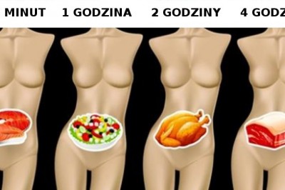 Jak długo zajmuje trawienie poszczególnych produktów? Dowiedz się, dlaczego to istotne dla Twojej wagi 