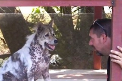 W schronisku spędził 4 lata. Kiedy podszedł do niego ten mężczyzna zrozumiał, że wszystko się zmieni 