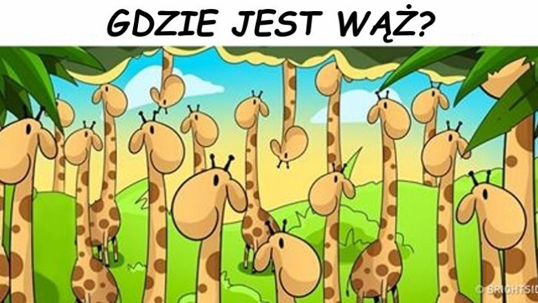 Jedynie 15% ludzi jest w stanie rozszyfrować te zagadki w mniej niż 30 sekund. Wytęż wzrok i sprawdź