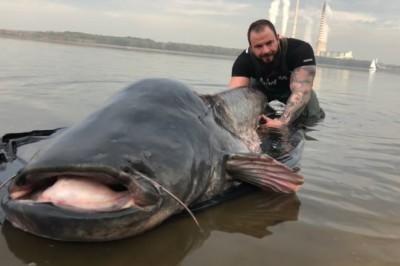 Polak złowił suma giganta! W Zalewie Rybnickim padł nowy rekord Polski