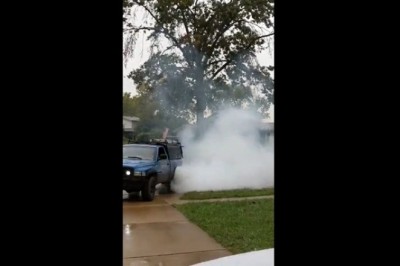 Jak pozbyć się osiedlowego drzewa w amerykańskim stylu? Właśnie tak