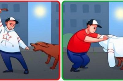 18 rzeczy, które musisz wiedzieć w sytuacji gdy zaatakuje cię pies. Zobacz czym możesz sprowokować go bardziej 