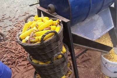 Sam zrobił sobie narzędzie, które ułatwia mu życie. Takie proste, a jednak genialne