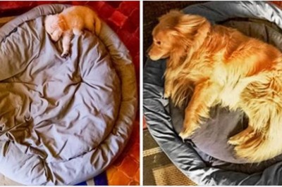 Te zdjęcia udowadniają, że czas płynie zdecydowanie za szybko. Czasem chcielibyśmy móc go zatrzymać 