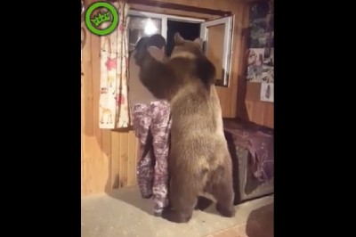 Trzyma w domu ogromnego niedźwiedzia jako pupila. To dopiero przyjaciel