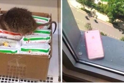 Życie tych ludzi jest bardziej przepełnione dramatami niż brazylijskie telenowele. To się nazywa mieć pecha