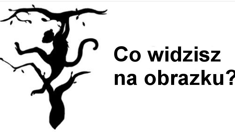 Pierwszy obraz, który zobaczysz, odkryje przed tobą potęgę twojego umysłu. Poznaj swoje mocne strony