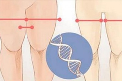 Wystarczy tylko 12 minut dziennie i Twoje nogi będą przyciągać wszystkie spojrzenia. Świetny zestaw