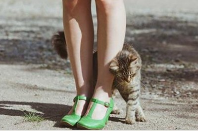 Dlaczego kot ociera się o Twoje nogi? Nie miałam do tej pory pojęcia dlaczego to robią