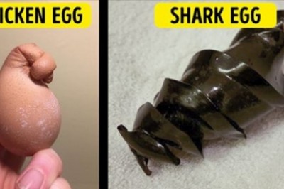 20 przykładów, pokazujących zaskakujące oblicze natury. Tego nie da się podrobić