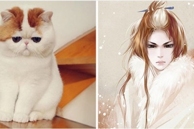 Chiński artysta tworzy ludzkie repliki zdjęć kotów. Rezultaty są zaskakująco trafne