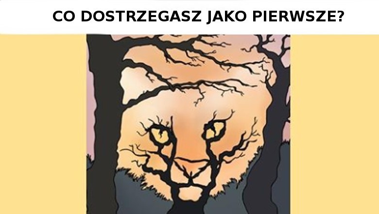 Pierwszy obrazek który zobaczysz powie ci, czego tak naprawdę pragnie twoje serce. Odpowiedz szczerze 