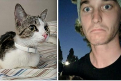 Załamany mężczyzna przygarnął do domu bezdomną kotkę. Następnego ranka przeżył wstrząs swojego życia