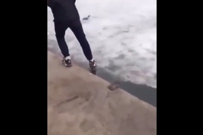 Dawaj Mati nic Ci nie będzie, przecież zamarzło. Czyli odważny kolega kontra lód