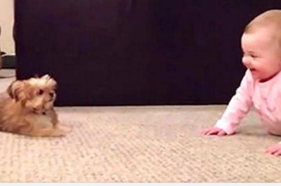 Rozmowa dziecka ze szczeniakiem rozbawiła mnie do łez. Dobrze, że tace udało się wszystko nagrać 