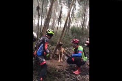 Filmik z ratowania psa przywiązanego do drzewa w lesie. Cud, że go znaleźli