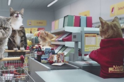 Tą reklamą Netto rozwaliło system. Internauci są nią zachwyceni 