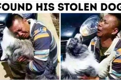 10 zdjęć, które udowadniają, że samotność może doskwierać wszystkim.  Warto mieć bratnią duszę 