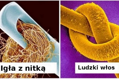 20 zwyczajnych rzeczy, które pod mikroskopem zmieniają się w cuda rodem z innej planety