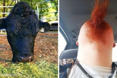 15 fascynujących zdjęć, które powstały zupełnie normalnie i bez Photoshopa. Zrozumiesz wszystkie? 