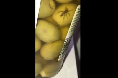 Klientka trafiła na oliwki z Lidla z żywą niespodzianką w środku  - film