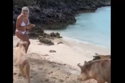 Modelka vs niespodziewani goście. Chyba nie tak miała wyglądać ta sesja na insta