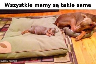 20 wzruszających fotek, które chwycą za serce nawet największego twardziela