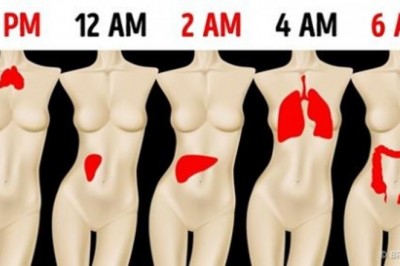 Dlaczego budzisz się każdej nocy o tej samej porze? Może to oznaczać problemy z konkretnymi organami