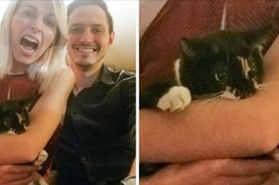 18 właścicieli kotów, którzy na własnej skórze przekonali się o prawdziwej naturze swoich pupili