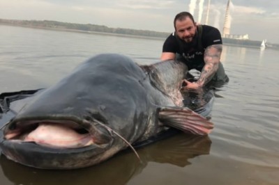 Polak złowił suma giganta. W Zalewie Rybnickim padł nowy rekord Polski