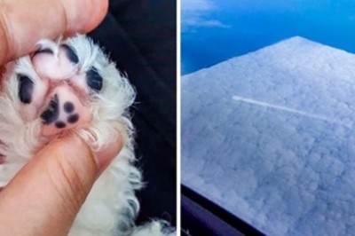 18 przypadków, w których matka natura przeszła samą siebie. Ciężko uwierzyć, że to przypadki