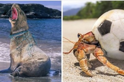 20 wymownych zdjęć pokazujących, że ludzka obojętność osiągnęła szczyt. Niszczymy naszą planetę