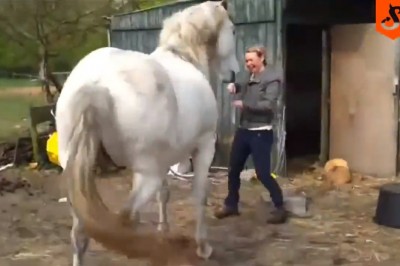 Dlaczego lepiej nie wkurzać konia. Ta dziewczyna szybko się o tym dowiedziała