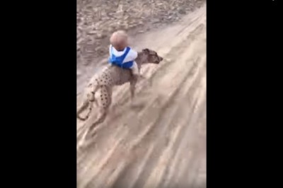 Kiedy myślisz, że widziałeś w necie już wszystko, a wtedy pojawia się taki oto filmik