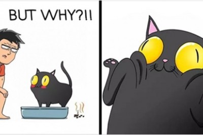 20 komiksów pokazujących jak naprawdę wygląda życie z kotem. Każdy właściciel to potwierdzi