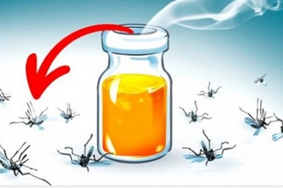 10 naturalnych zapachów, które błyskawicznie odstraszą komary z Twojego domu