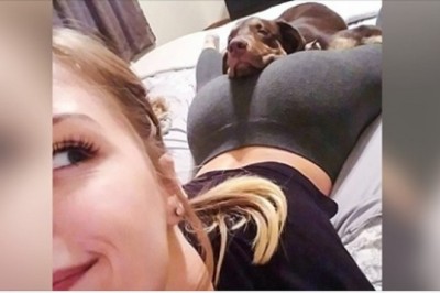 20 zwierzaków, które mogą zasnąć dosłownie w każdym miejscu